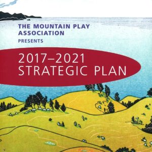 2017-2021 Strategic Plan