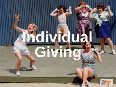 Support the Mountain Play through Individual Giving